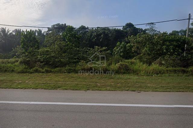 For Sale: Agricultural Land With Great Potential 1