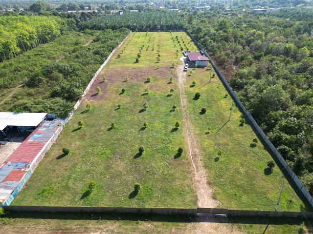 Bedong Durian Land For Sale 1