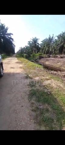Banting Land for Sale 5