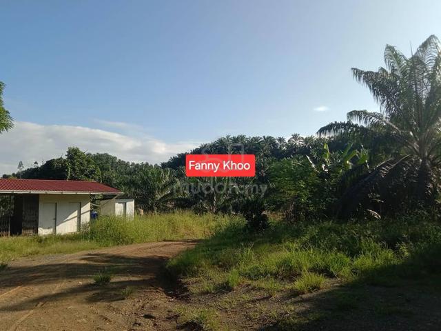 Palm Oil Land for Sale | Kunak | Lahad Datu | Tawau 3