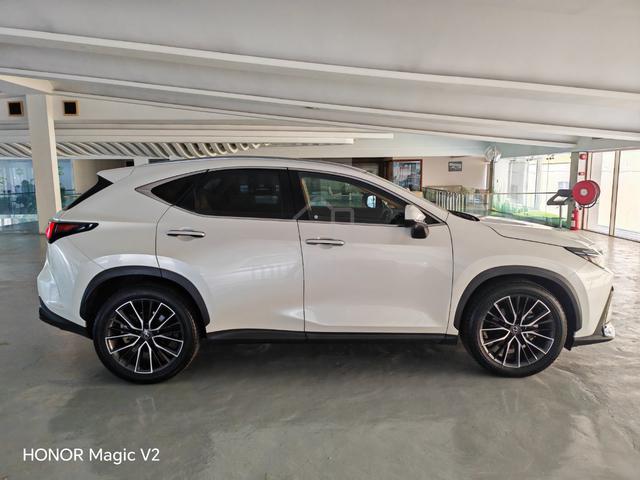 2023 Lexus NX250 2.5 BEIGE INTERIOR N 360 CAMS HUD - 5