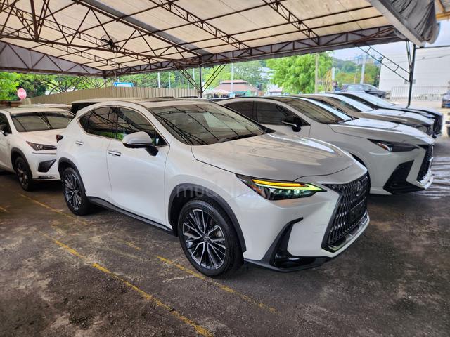 2023 Lexus NX 250 Luxury Black Interior Full Spec - 1