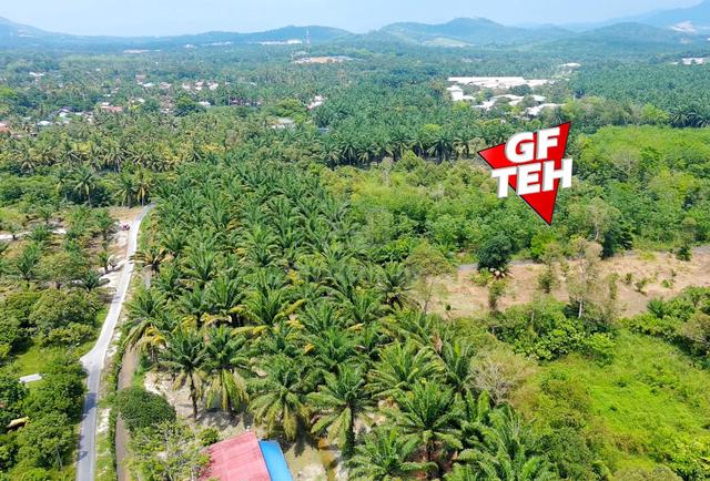 1.02 acre Agricultural Land | Bukit Teh | Bukit Mertajam | Penang 1