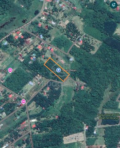 Tanah Antarabangsa, Freehold, Pekan, Pahang 1