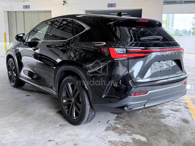 2023 Lexus NX250 VERSION L HUD BSM WHITE/BLACK INT - 2