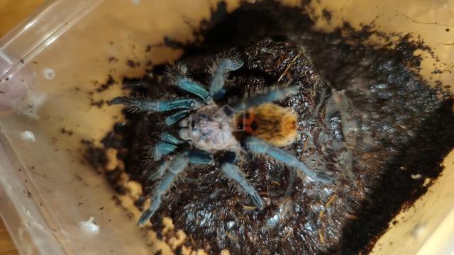 Carousel Image