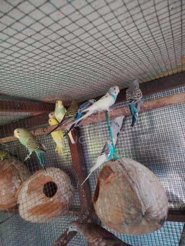 Carousel Image