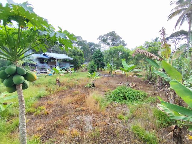 [FREEHOLD] Tanah Kebun Geran Individu Kg Celogeh Ulu Beranang Lenggeng 1