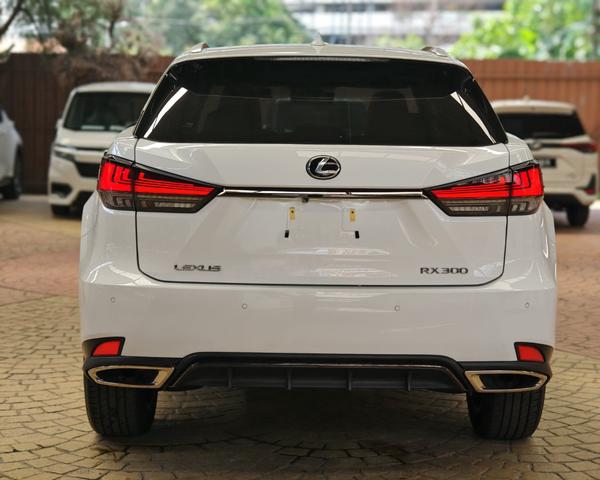 2022 Lexus RX300 2.0 F-SPORT RED LEATHER 5A 9K KM - 4