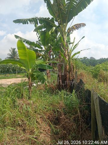 Tanah lot utk dijual di Jasin 1