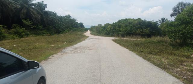 Perfect land for retirement & farm stay with infrastructure 1