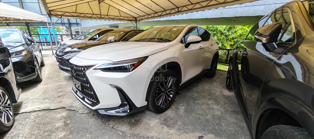 2023 Lexus NX 250 2.5 LUXURY (A) NO HIDDEN CHARGES - 1