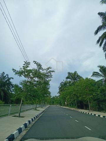 Agricultural land,nibong tebal for sale 1