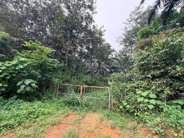 Jasin Rim FREEHOLD Land Full Fenced Near Taman With Reserved Road‼️ 1