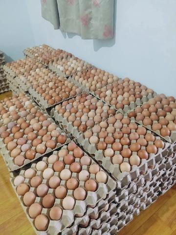 Telur 🐔 fresh direct ladang - photo 4 of 6