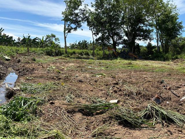 Single Title Grant Bungalow Plot tuaran 2