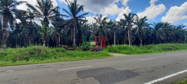 Development Land, Jalan Kunak, Mile 6, District of Kunak 3