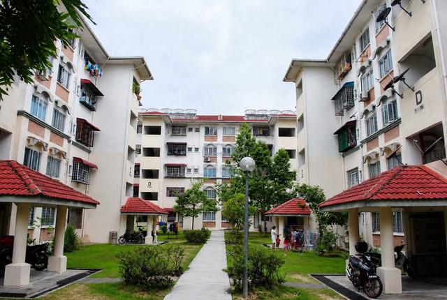 Palma Puteri 1
