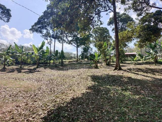 TANAH 2.94 EKAR | Tanah Kebun Durian, Segamat Johor 1