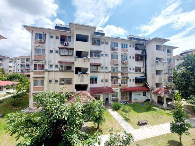 Palma Puteri 1