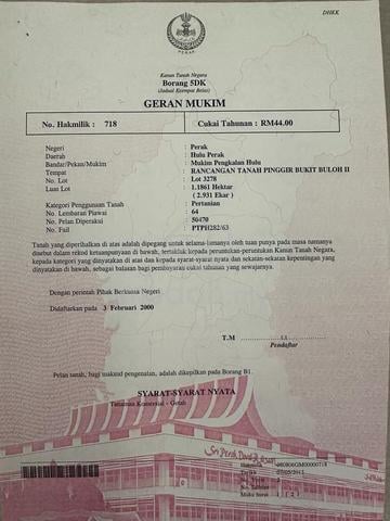 Tanah pertanian/dusun untuk dijual 1