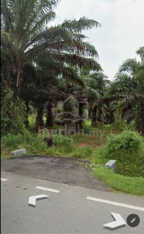 Jasin Nyalas Land Agriculture Land FREEHOLD Facing Main Road 1