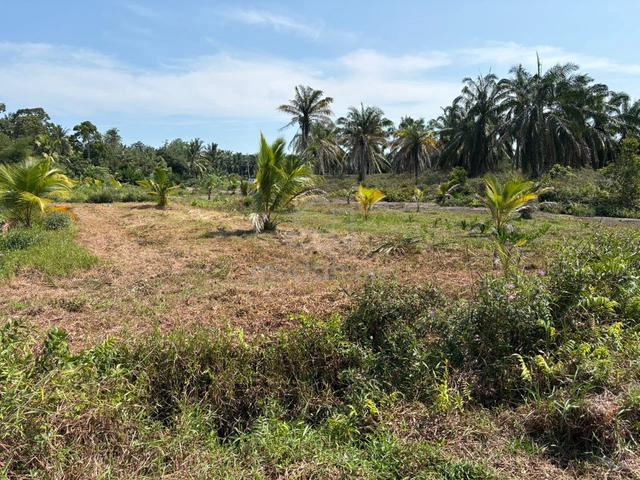 For Rent Agricultural land @ Ayer molek 1
