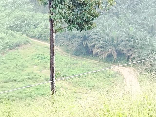 Tanah bukit Rezab melayu johor harga murah murah ‼️ . 1