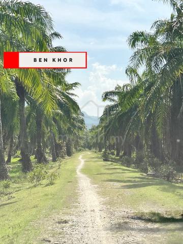 1.7 Acres | Agricultural Land | Flat Land | Balik Pulau | PENANG 1