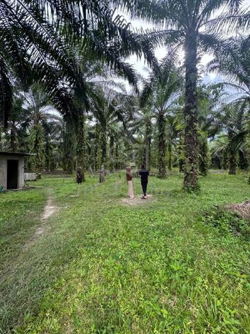 Lot Tanah Ranggu, Tass Mile, Batu 12 1