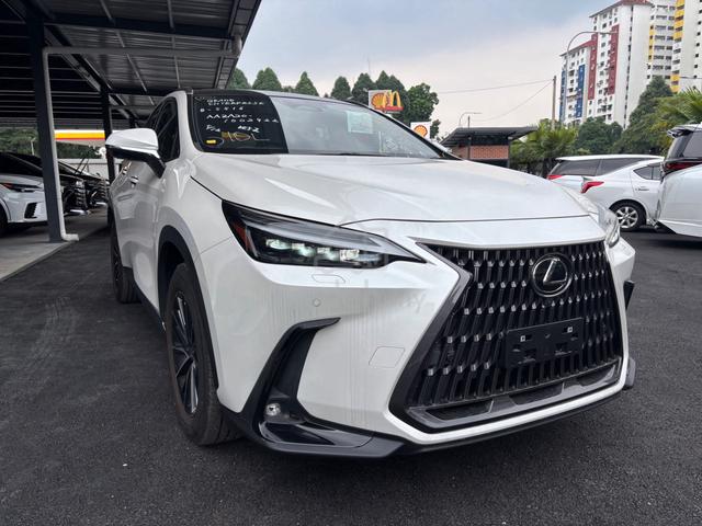 2023 Lexus NX250 2.5 VERSOL L 360CAM PANAROMIC ROF - 1