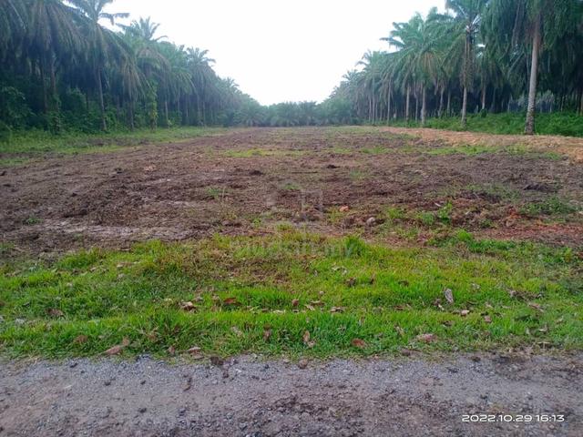 Lot Banglo (Kg. Bukit Gading, Tanah Merah) 1