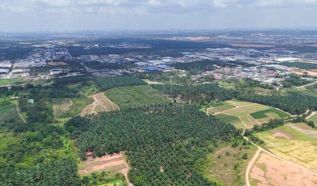 7.8 Acres Agriculture Industrial Land @ Jalan Seelong, Senai, Johor 1