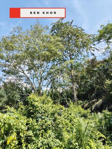 Main Road | Agricultural Land | 6.85 acres | Lenggong | PERAKJ 2