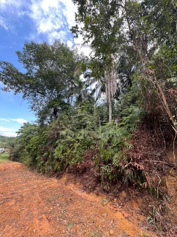 Land For Sale 1