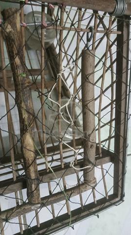 jebak burung - photo 4 of 4