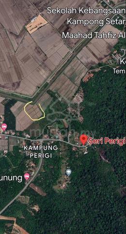 Bendang/Sawah padi 1