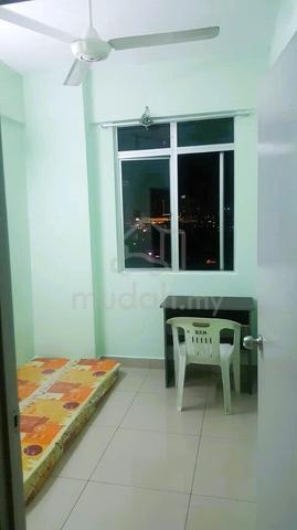 Fully furnished Single room in Georgetown 1