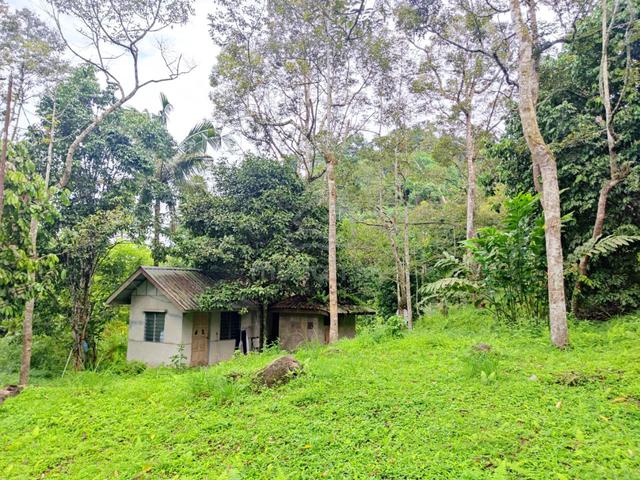 SESUAI UNTUK RESORT ADA SUNGAI Tanah di Janda Baik Bentong Siap Infra 3