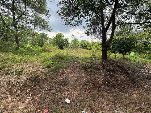 Tanah Banglo Lot Tepi Jalan Besar, Jalan Kebun Nak Jual Murah 1