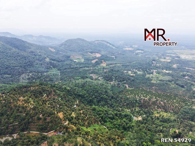 EASY ACCESS Durian Farm Bandar Baharu Kedah FOR SALE 1