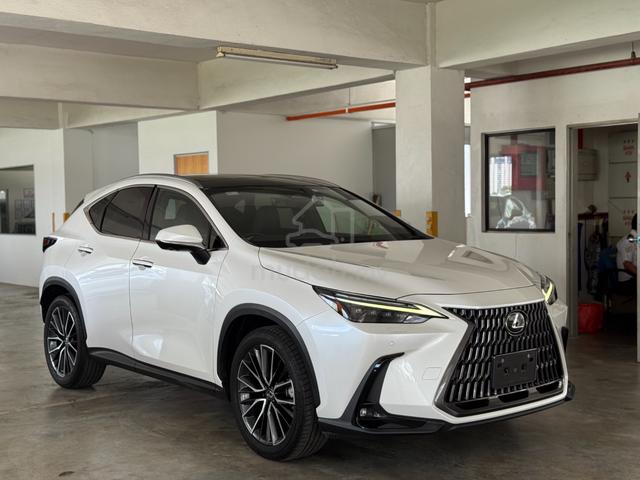 2023 Lexus NX 250 2.5 LUXURY (A) B&W INTERIOR - 1