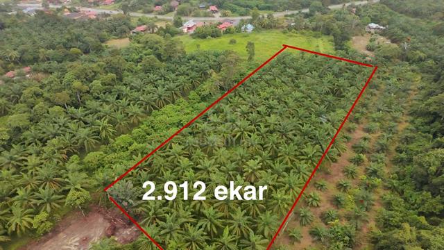 Tanah Sawit di Kampong Gajah FREEHOLD 1