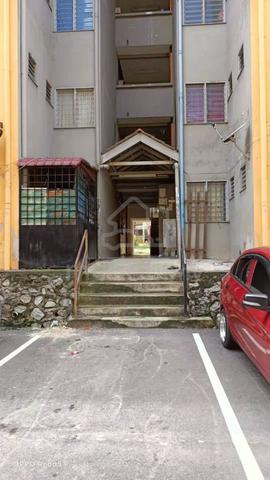 Dahlia (Seremban) 1