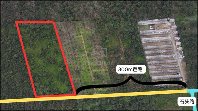 Batu 28 Pengkalan Raja Pekan Nenas Nanas Agricultural Land Residential 4