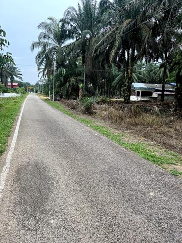 Tanah Pertanian 2.3 Ekar Parit Yaani Batu Pahat Yong Peng 3