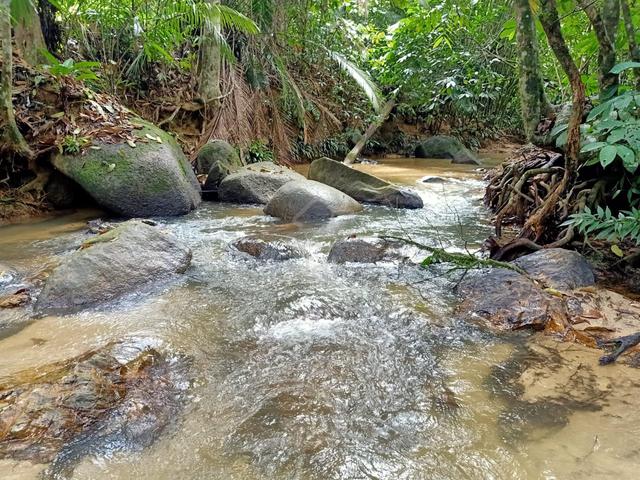 Freehold Land Raub next 2Waterfall. Orchard, Retreat, Resort-Potential 1