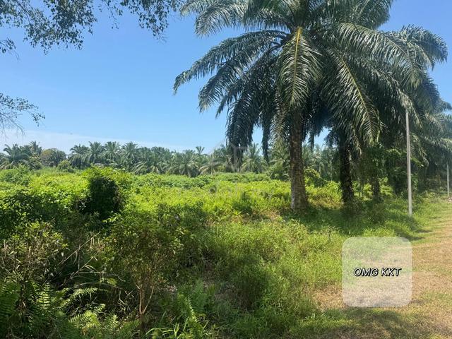 Kuala Selangor Agricultural Land Zoning industry Good Location Jeram 1
