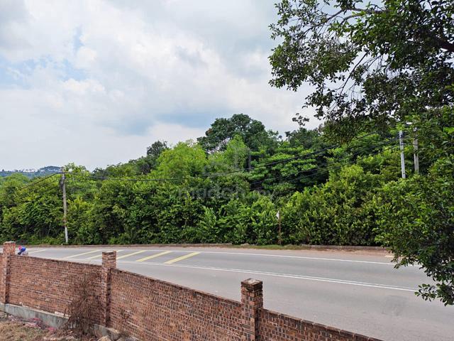 Agriculture Land#Pinang Tunggal (Facing Road) For Rentππ 1