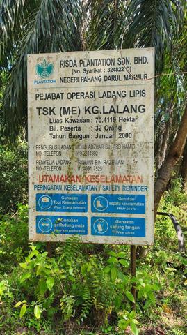 Tanah Sawit Untuk DiJual di Mukim Penjom, Kuala Lipis Phg 1